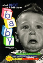 What Not to Name Your Baby - Andy Meisler, Andy Meister