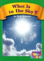 What Is in the Sky - Cindy Chapman, Wiley Blevins