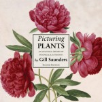 Picturing Plants: An Analytical History of Botanical Illustration - Gill Saunders