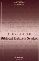 A Guide to Biblical Hebrew Syntax - Bill T. Arnold