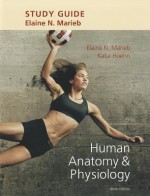 Study Guide for Human Anatomy & Physiology - Elaine Nicpon Marieb, Katja Hoehn