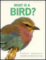 What is a Bird? - Robert Snedden