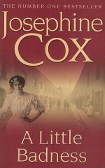 A Little Badness - Josephine Cox