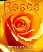 Roses - Andrew Mikolajski