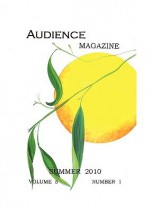 Audience Magazine #17 - M. Stefan Strozier, Peter Nyman, Kyle Torke