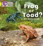 Frog or Toad? - Sue Barraclough