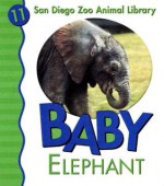 Baby Elephant - Julie D. Shively