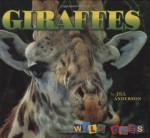 Giraffes (Wild Ones) - Jill Anderson