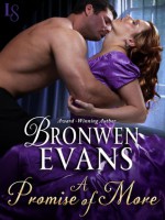 A Promise of More - Bronwen Evans