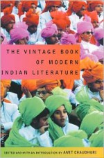 The Vintage Book of Modern Indian Literature - Amit Chaudhuri