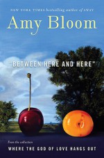 Between Here and Here (short story) - Amy Bloom