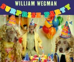 Surprise Party - William Wegman