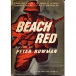 Beach Red - Peter Bowman