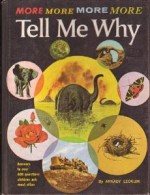 More Tell Me Why - Arkady Leokum