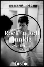 Rock 'n roll junkie: over Herman Brood - Jan Eilander, Martin Bril