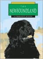 Newfoundland - Charlotte Wilcox