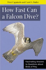 How Fast Can A Falcon Dive?: Fascinating Answers to Questions about Birds of Prey - Peter Capainolo, Carol A. Butler