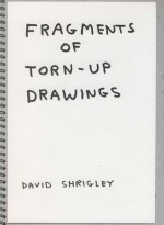 Fragments Of Torn-Up Drawings - David Shrigley