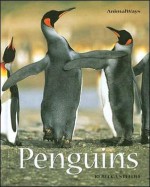 Penguins - Rebecca Stefoff