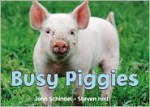 Busy Piggies - John Schindel