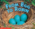 From Egg To Robin - Susan Canizares, Betsey Chessen