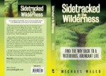 Sidetracked in the Wilderness - Michael Wells