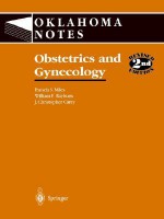 Obstetrics and Gynecology - Pamela S. Miles, William F. Rayburn, John C. Carey