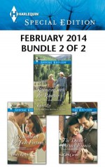 Harlequin Special Edition February 2014 - Bundle 2 of 2: A Sweetheart for Jude FortuneReuniting with the RancherThe Doctor's Former Fiancee - Cindy Kirk, Rachel Lee, Caro Carson