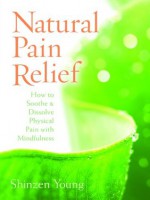 Natural Pain Relief - Shinzen Young