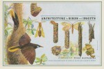 Architecture by Birds and Insects: A Natural Art - Peggy Macnamara, John Bates, David Quammen