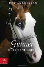 Gunner: Hurricane Horse - Judy Andrekson, David Parkins