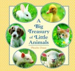 Big Treasury of Little Animals - Phoebe Dunn, Judy Dunn Spangenberg