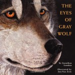 The Eyes of Gray Wolf - Jonathan London, Jon Van Zyle