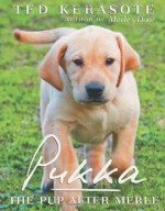 Pukka: The Pup After Merle - Ted Kerasote