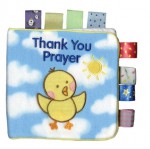 Thank You Prayer (My First Taggies Book) - Ken Geist