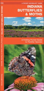 Indiana Butterflies & Moths: A Folding Pocket Guide to Familiar Species - James Kavanagh, James Kavanagh, Raymond Leung