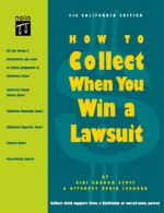 How to Collect When You Win a Lawsuit - Gini Graham Scott, Robin Leonard