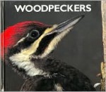 Woodpeckers - Mary Ann McDonald