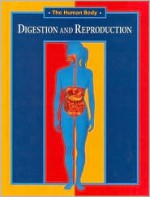 Digestion And Reproduction - Andreu Llamas