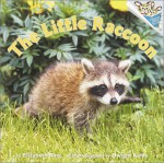 The Little Raccoon - Elizabeth Ring