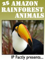 25 Amazon Rainforest Animals. Amazing facts, photos and video links to some of the most amazing animals from the rainforests! (25 Amazing Animals Series) - IC Wildlife, IP Factly