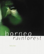 Borneo Rainforest - Mattias Klum