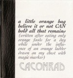 a little orange bag believe it or not CAN hold all that remains (written after eating only orange foods for a day while under the influence of an orange ladder drawn on my chest with magic marker) - C.A. Conrad