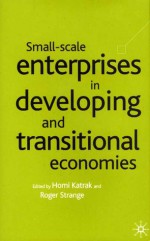 Small-Scale Enterprises in Developing and Transitional Economies - Homi Katrak