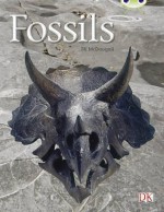 Fossils Gold 1 - Jill McDougall