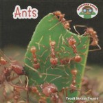 Ants - Trudi Trueit