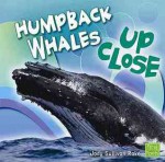 Humpback Whales Up Close - Jody Sullivan Rake