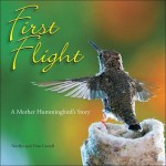 First Flight: A Mother Hummingbird's Story - Don Carroll, Noriko Carroll