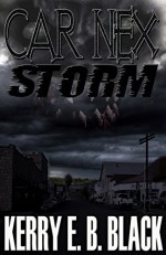 Car Nex: Storm (The Car Nex Story Series Book 3) - Kerry E. B. Black, Terry M. West