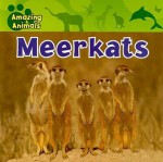 Meerkats - Justine Ciovacco